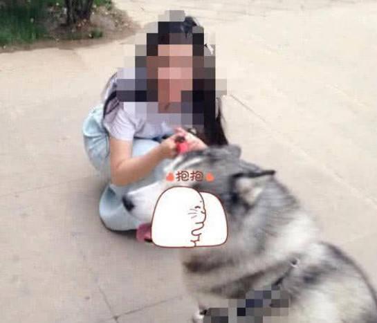 姐姐犬化的av,姐姐的异变之旅