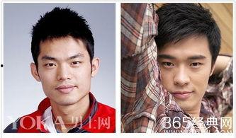 和我像的明星,揭秘你的明星脸之谜