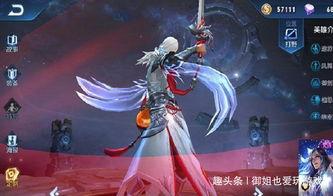 凤求凰免费观看29,免费畅享29集，穿越时空的浪漫传奇