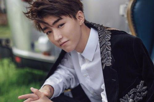 王俊凯的流氓视频,揭秘明星私下真实一面