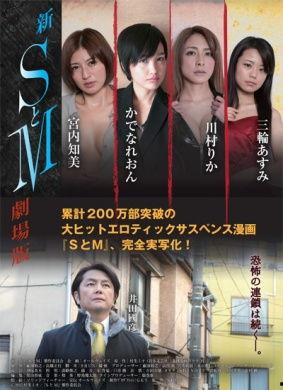 新s与m在线观看,在线观看的激情探索之旅