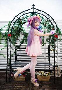 红白丝袜 帕秋莉,探寻帕秋莉的奇幻世界