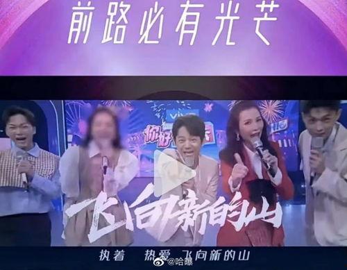 湖南卫视最新爆料,揭秘明星幕后故事，精彩内容即将揭晓！